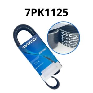 08B120B6B336277599B2A4B35EA80E6E