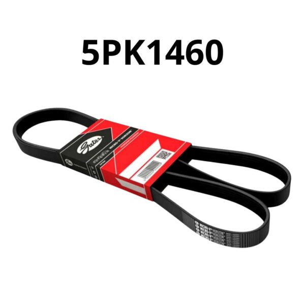 112F45A9D7CF0176CE354CDDB6B850EE