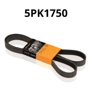 39F7B9DD2E56F6FD68B205D494BDD05A