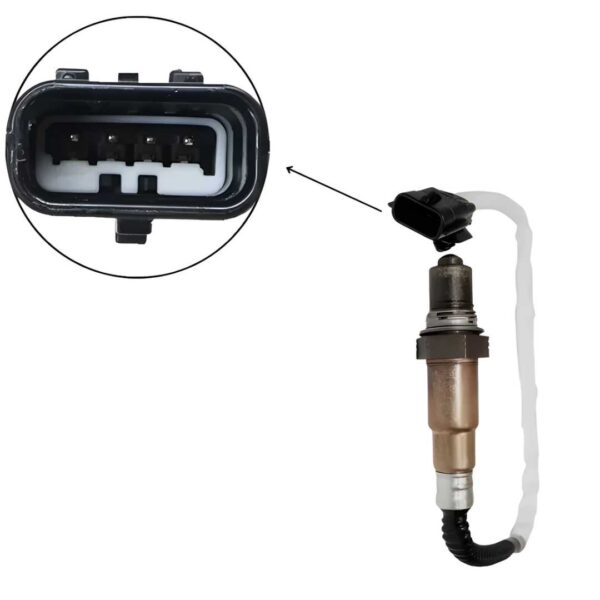 5429CB11025E84F43BE728A9B548C324