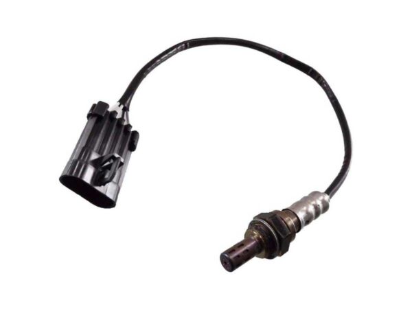 71BC6397704D4B5221C30D429EB9F6F4