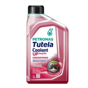 8A4368F3F65EDD2087B2FE30140A655C