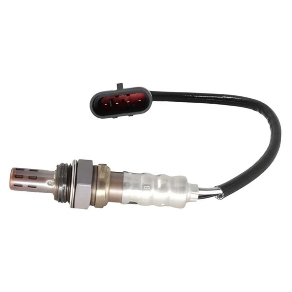 91661A786B09E028CBD6F773805D8175