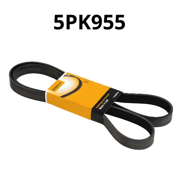 A70AAAE9CE954AE59CD305298D98565C