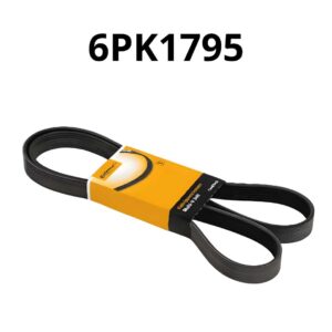 B482BB03A9A5EF07CFE858CA612D2F31