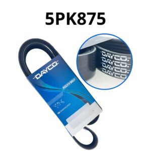 B7F19296B70D9C34039D54E429C9202A