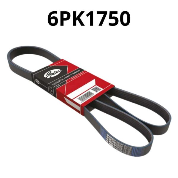 CE4DBE2028615C6ED783C98C774AAB16