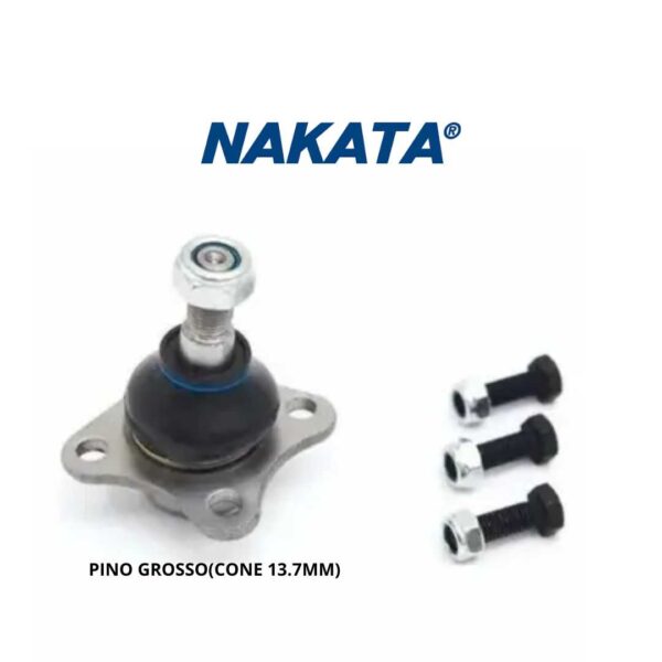 E15FE09A49B9B76E32D4C97987E5B971